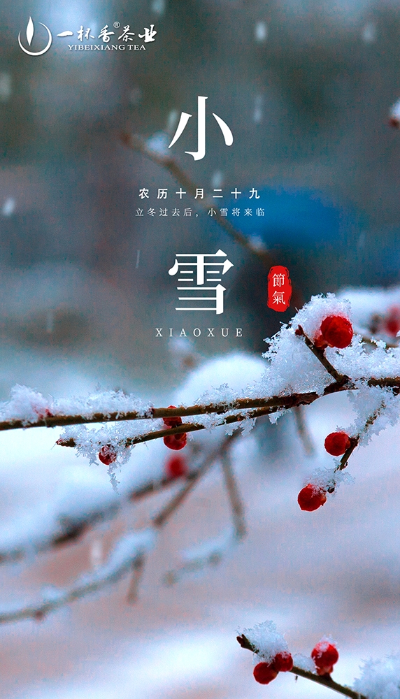 小雪饮茶开启美好的心情