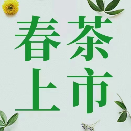 春暖花开喝点明前茶