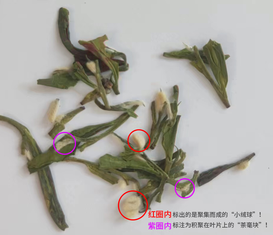 不发霉的龙井茶里竟然有科技？