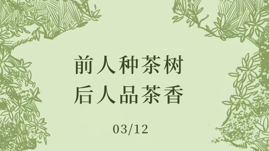 一杯香 | 植树节