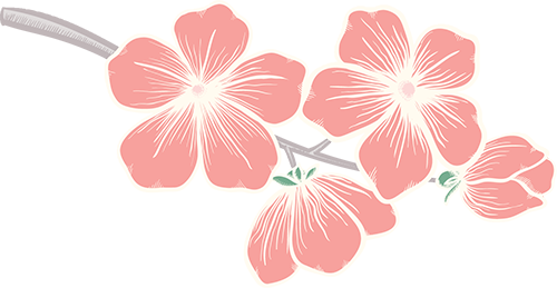 0ea3d913971eeb466b0df59c7447c2cf_sz-109549