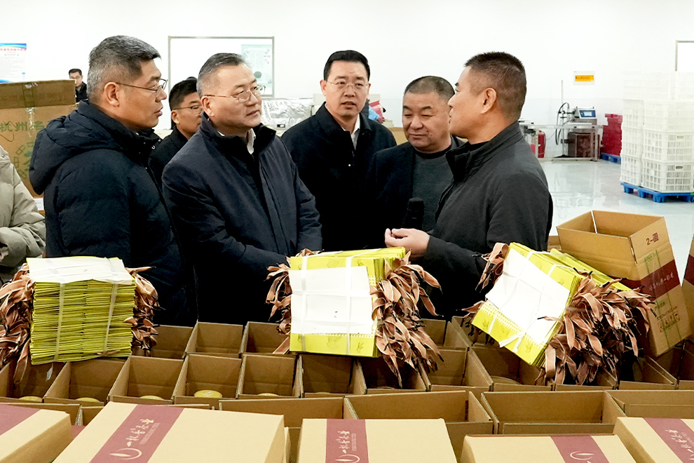 微信图片_20260109095803_150_93